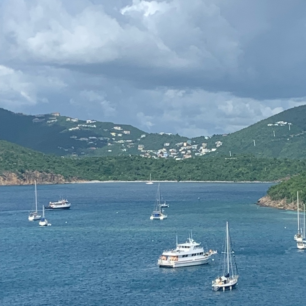 Meet your Posher, Tami